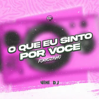 O Que Eu Sinto por Você ( Forrozinho ) by Vini DJ