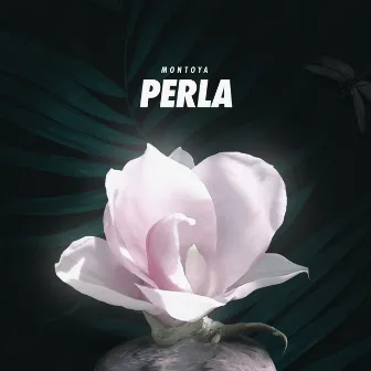 Perla by Montoya