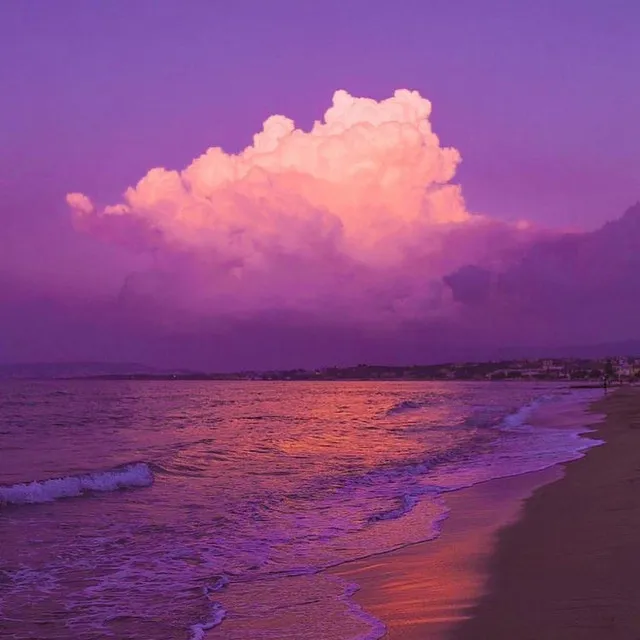 Beach Vibes