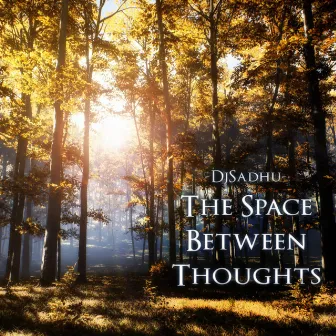 The Space Between Thoughts by DjSadhu