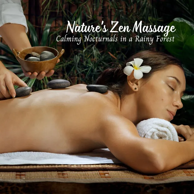 Nature's Zen Massage: Calming Nocturnals in a Rainy Forest