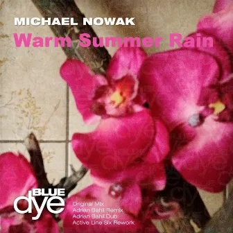 Warm Summer Rain by Michael Nowak