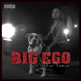 Big Ego by Tia Tamia