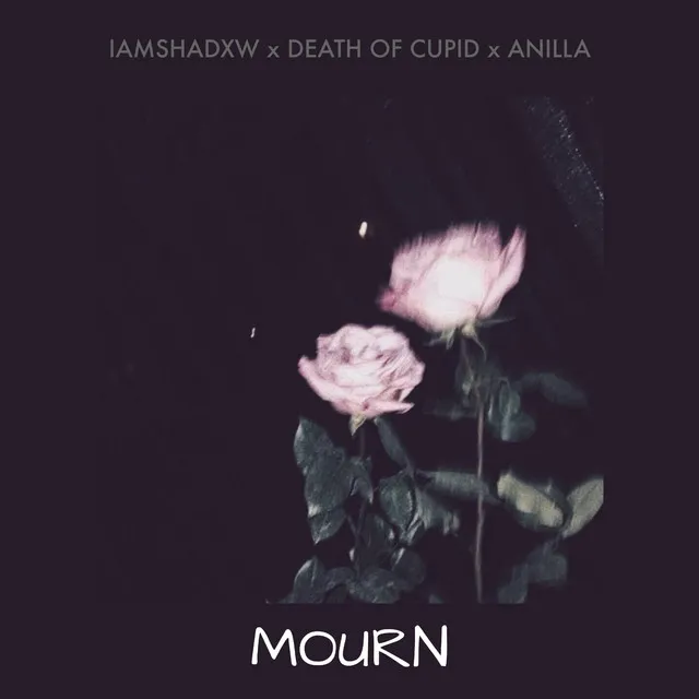 Mourn