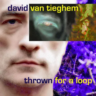 Thrown For A Loop by David Van Tieghem