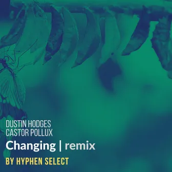 Changing (Hyphen Select Remix) by Castor Pollux