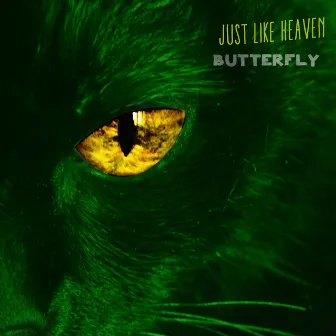 Just Like Heaven by Butterfly