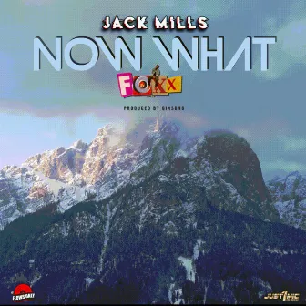 Now What (Ginsong Remix) by Jack Mills