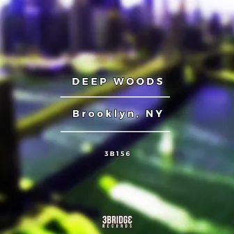 Brooklyn, NY by Deep Woods