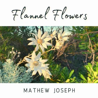 Flannel Flowers by Mathew Joseph