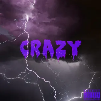 CRAZY by VAIN669