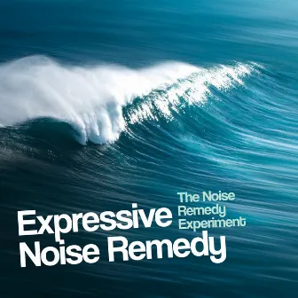 Expressive Noise Remedy by Unknown Artist