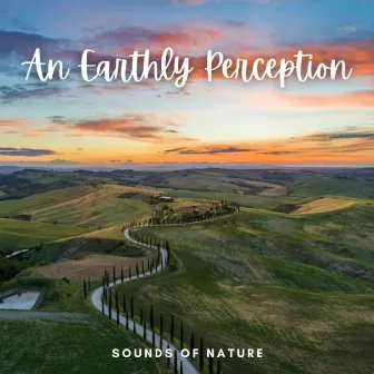 Sounds of Nature: An Earthly Perception by Mind of Peace