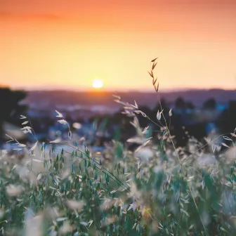 Rising Sun by Jellyfish