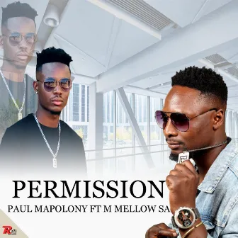 Permission by Paul Mapolony