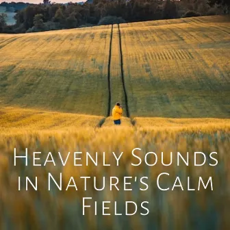 Heavenly Sounds in Nature's Calm Fields by Sacred Ambience