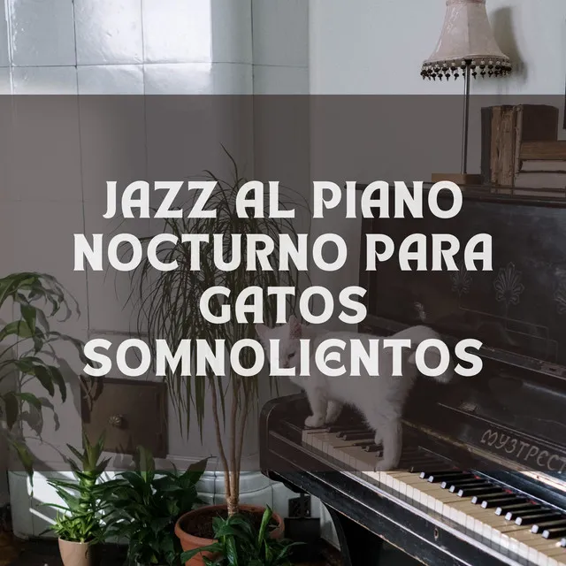 Jazz Al Piano Nocturno Para Gatos Somnolientos