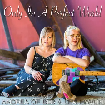 Only In A Perfect World by Andrea of BLB