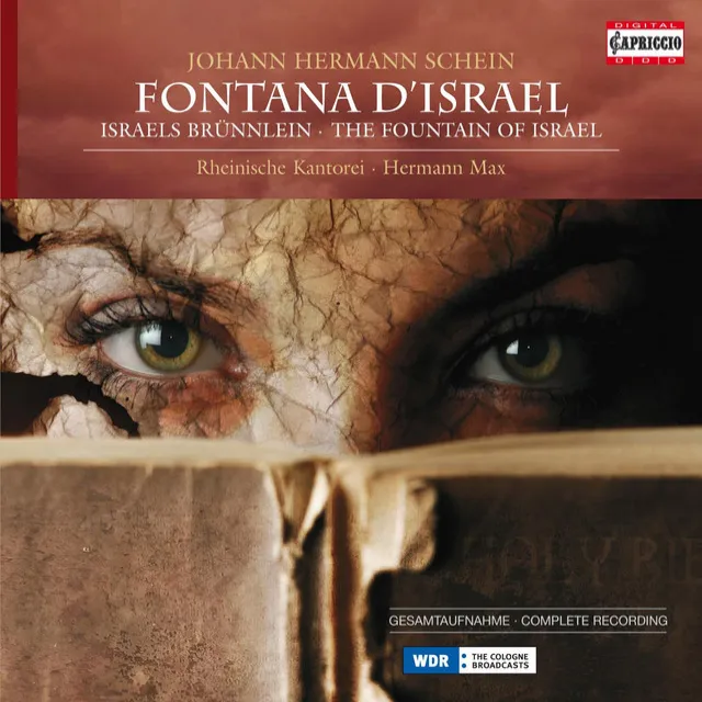 Schein: Fontana d'Israel