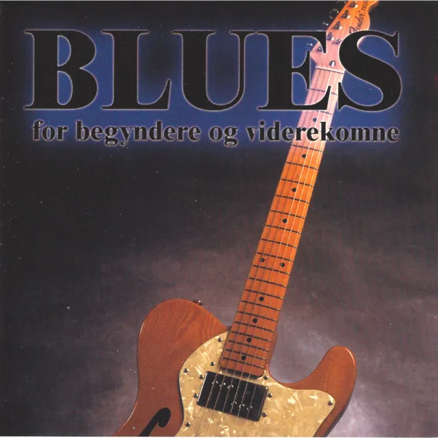 Rytmeguitar Til Blues 2