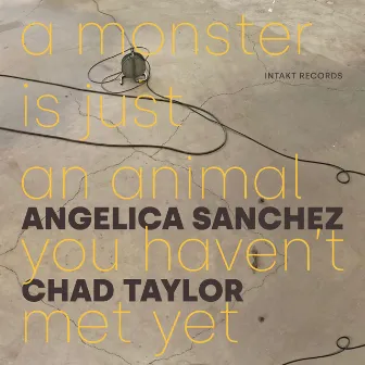 A Monster Is Just an Animal You Haven't Met Yet by Angelica Sanchez