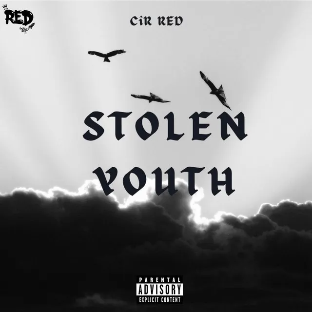 Stolen Youth