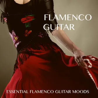 Flamenco Guitar by The Lounge Lizards