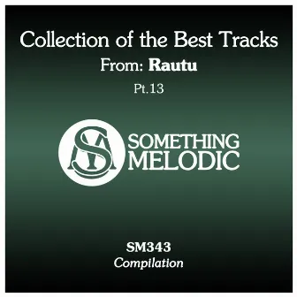 Collection of the Best Tracks From: Rautu, Pt. 13 by Rautu