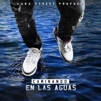 Caminando en Las Aguas by Lara Street Prophet