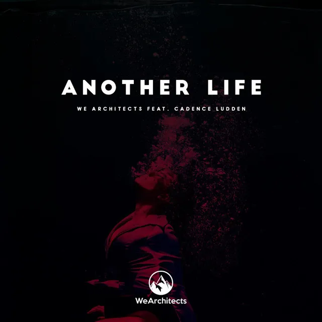 Another Life