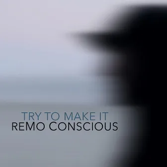 Try to Make It by Remo Conscious