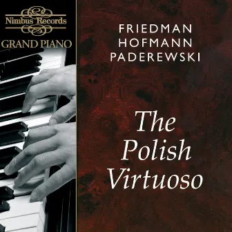 The Polish Virtuoso by Ignaz Friedman