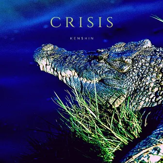 Crisis by Ken$hin