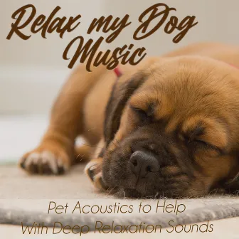 Relax My Dog Music: Pet Acoustics to Help With Deep Relaxation Sounds by Relax My Dog Music