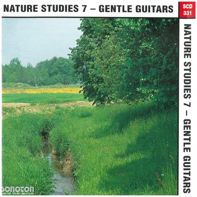 Nature Studies, Vol. 7: Gentle Guitars