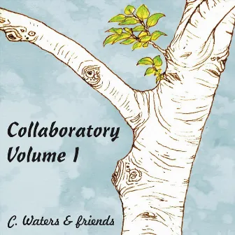 Collaboratory, Vol. I by C. Waters