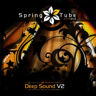 V2 by Deep Sound