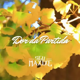 Dor Da Partida by Seu Maxixe