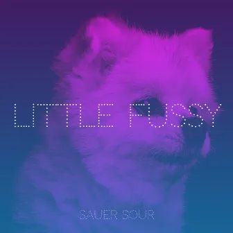 Little Fussy by Sauer sour