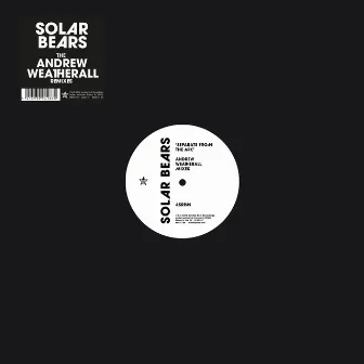 Separate from the Arc (The Andrew Weatherall Remixes) by Solar Bears