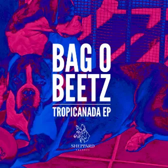 Tropicanada by Bag-O-Beetz