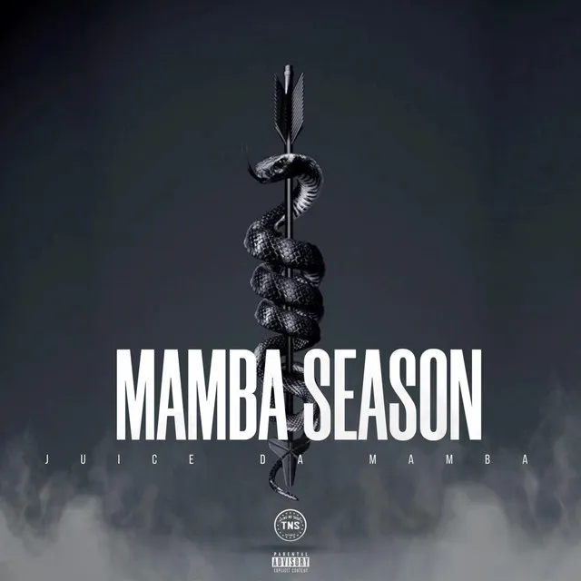 MAMBA SEASON