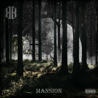 Mansion by Brucey B