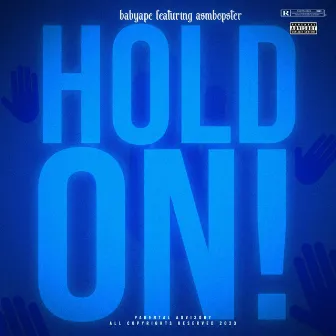 Hold On by BabyApe