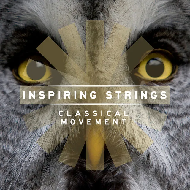 Inspiring Strings: Classical Movement