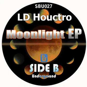 Moonlight by L.D. Houctro