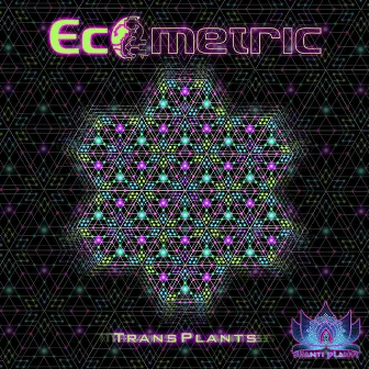 Transplants by Ecometric