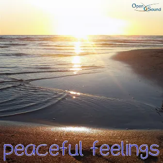 Peaceful Feelings (Music for Movie) by Federico Arena