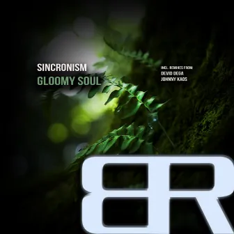 Gloomy Soul by Sincronism