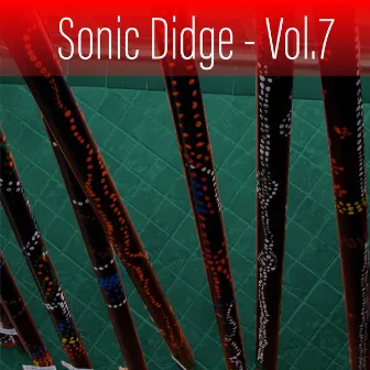 Sonic Didge, Vol. 7 by David Hudson